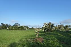 Higham Gobion Castle